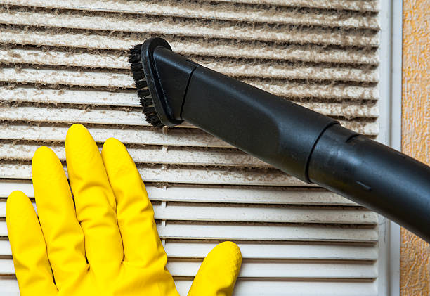 Best Home Air Vent Cleaning  in Belle Rose, LA